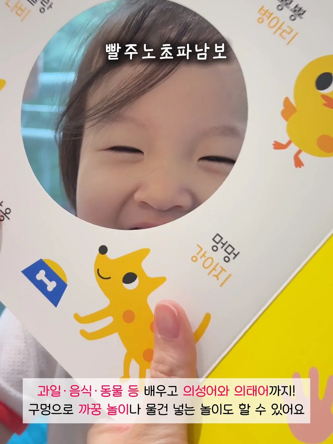 제로이드 핌프로브 레드 컨트롤 크림 10