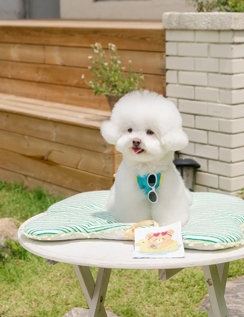 카꾸 Day 콜라보 스티커 6