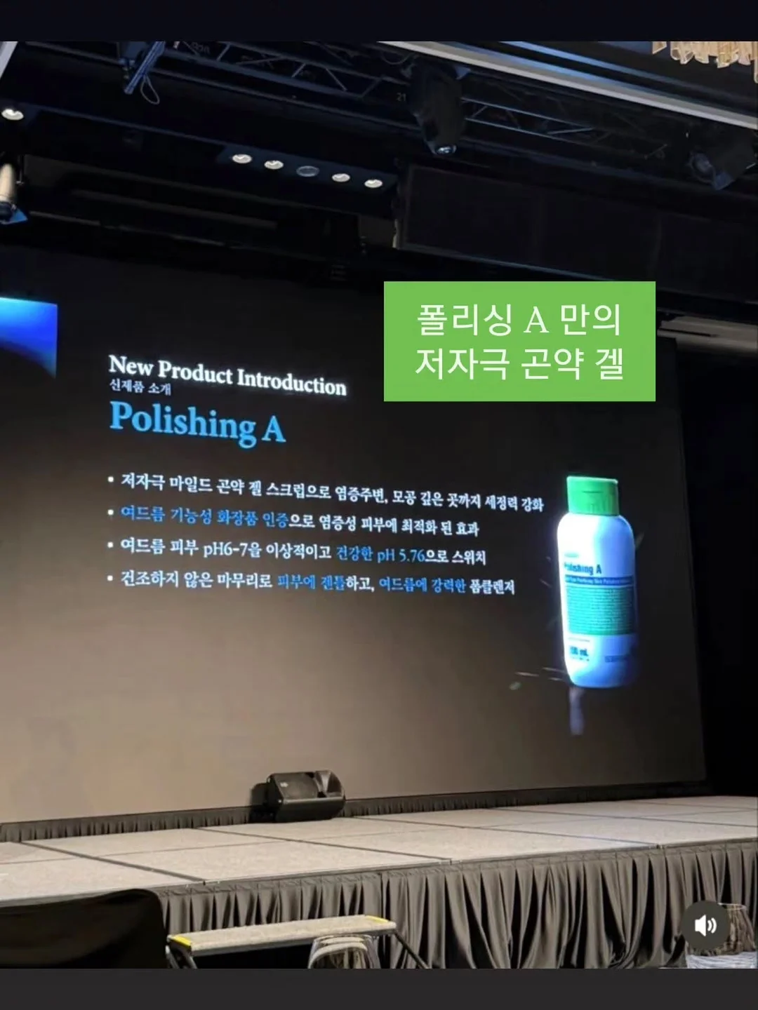단가라 티 4