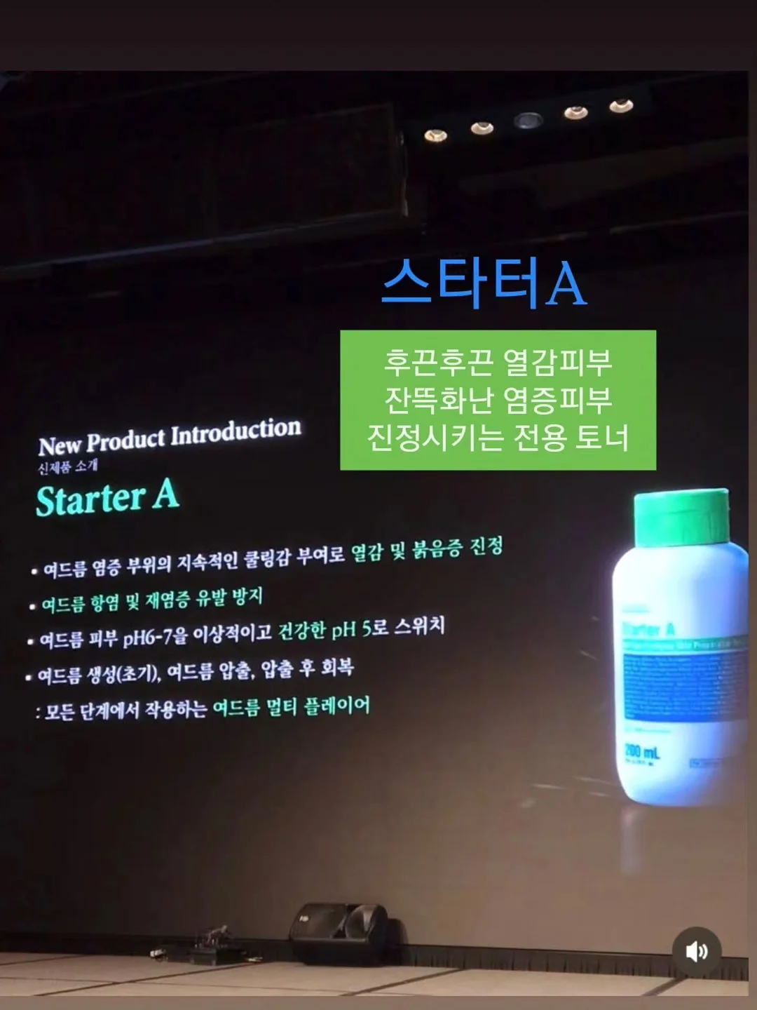단가라 티 5