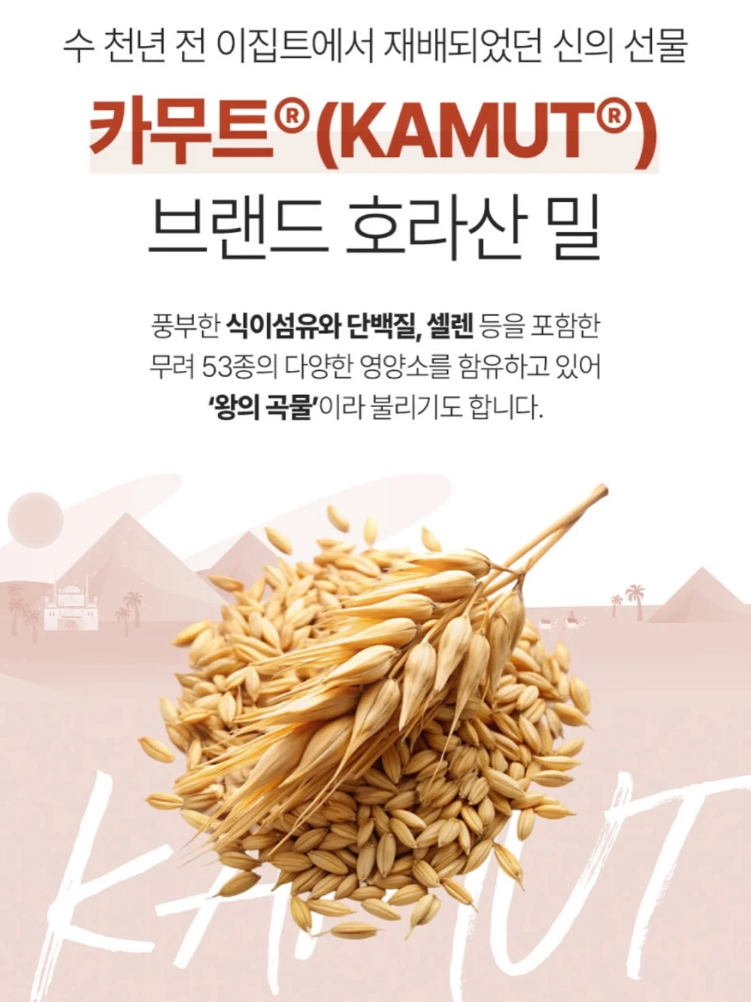 순두부 계란탕 5
