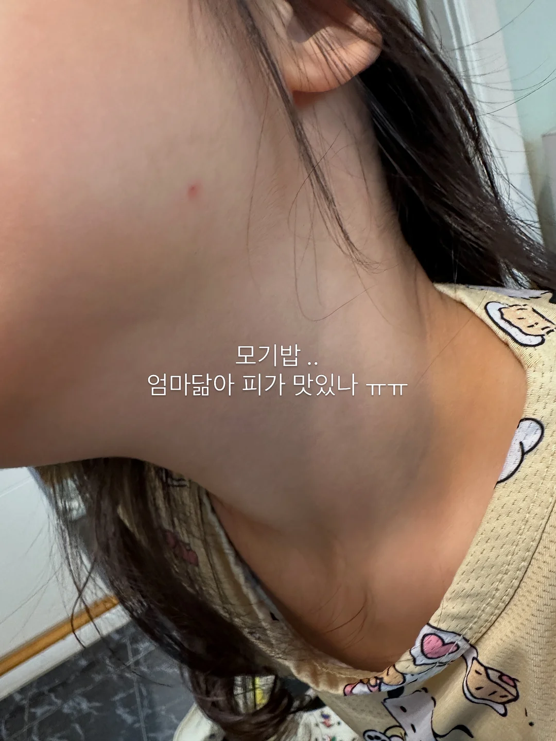 고급 싱크볼 5