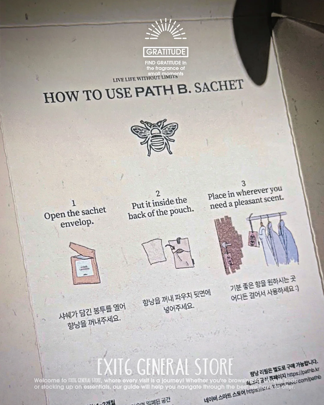 아나벨 수국 3
