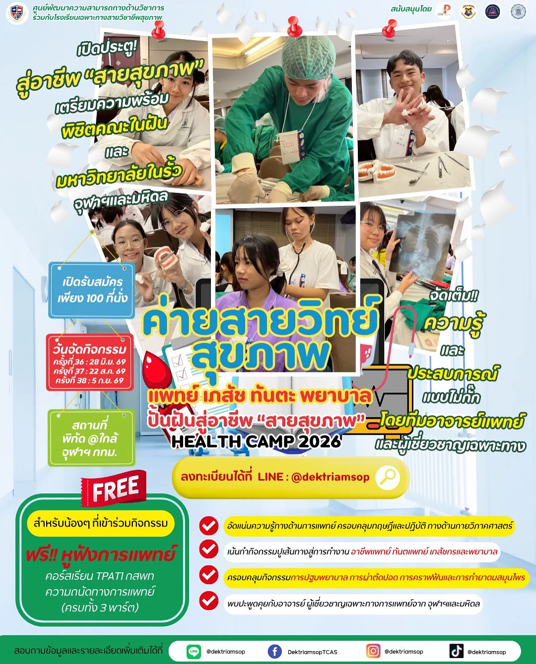 포앤캣 블루밍 라인 9