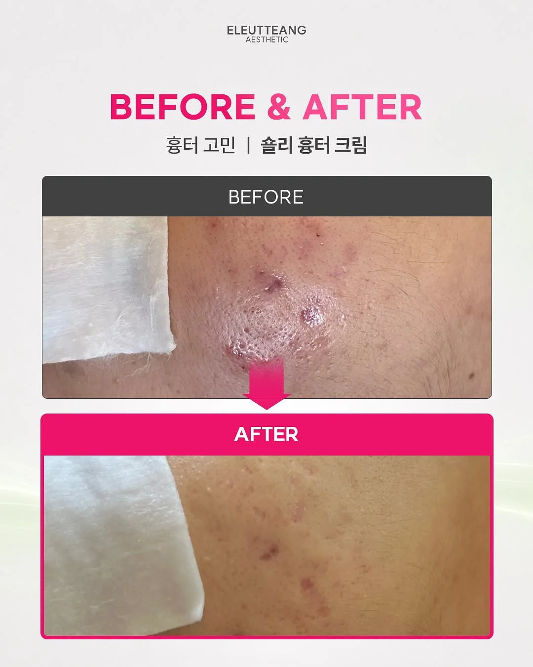 돼지무리 떡케이크 2호 10