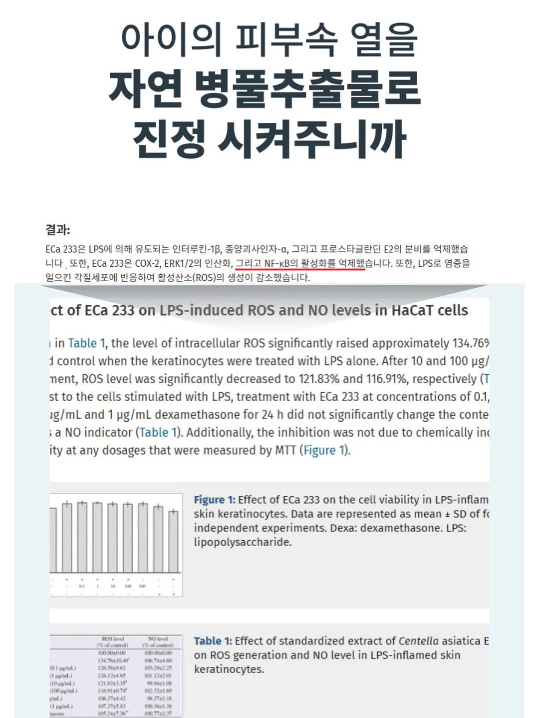 아디다스 스페지알 프릴데님 7