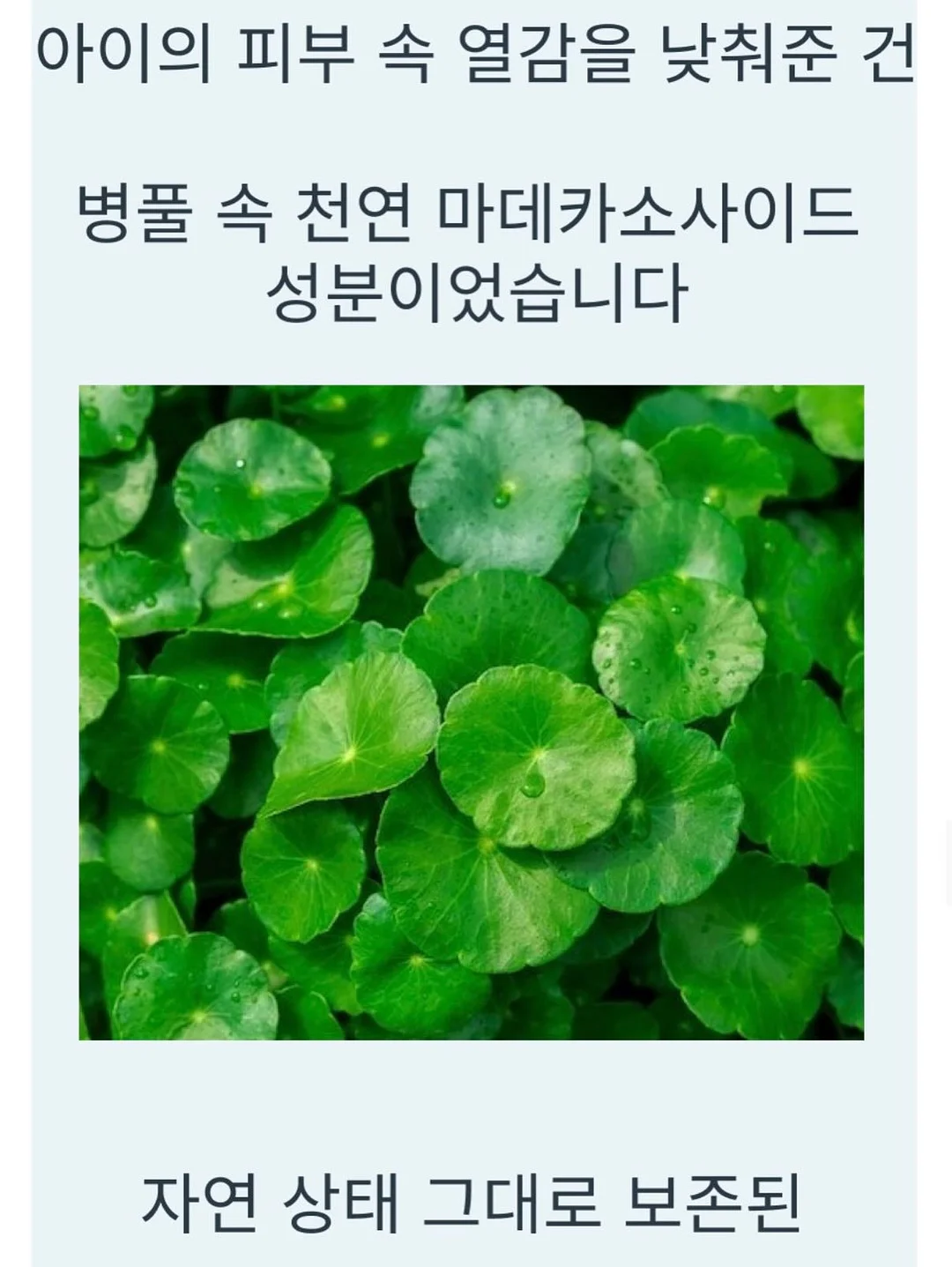 아디다스 스페지알 프릴데님 9
