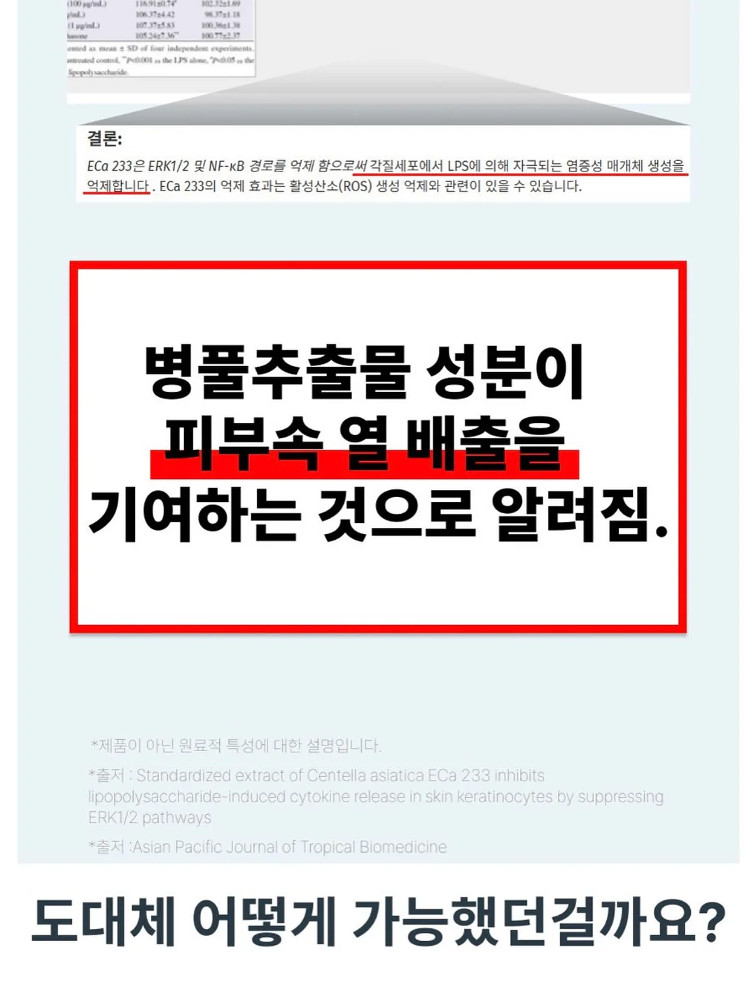 아디다스 스페지알 프릴데님 10