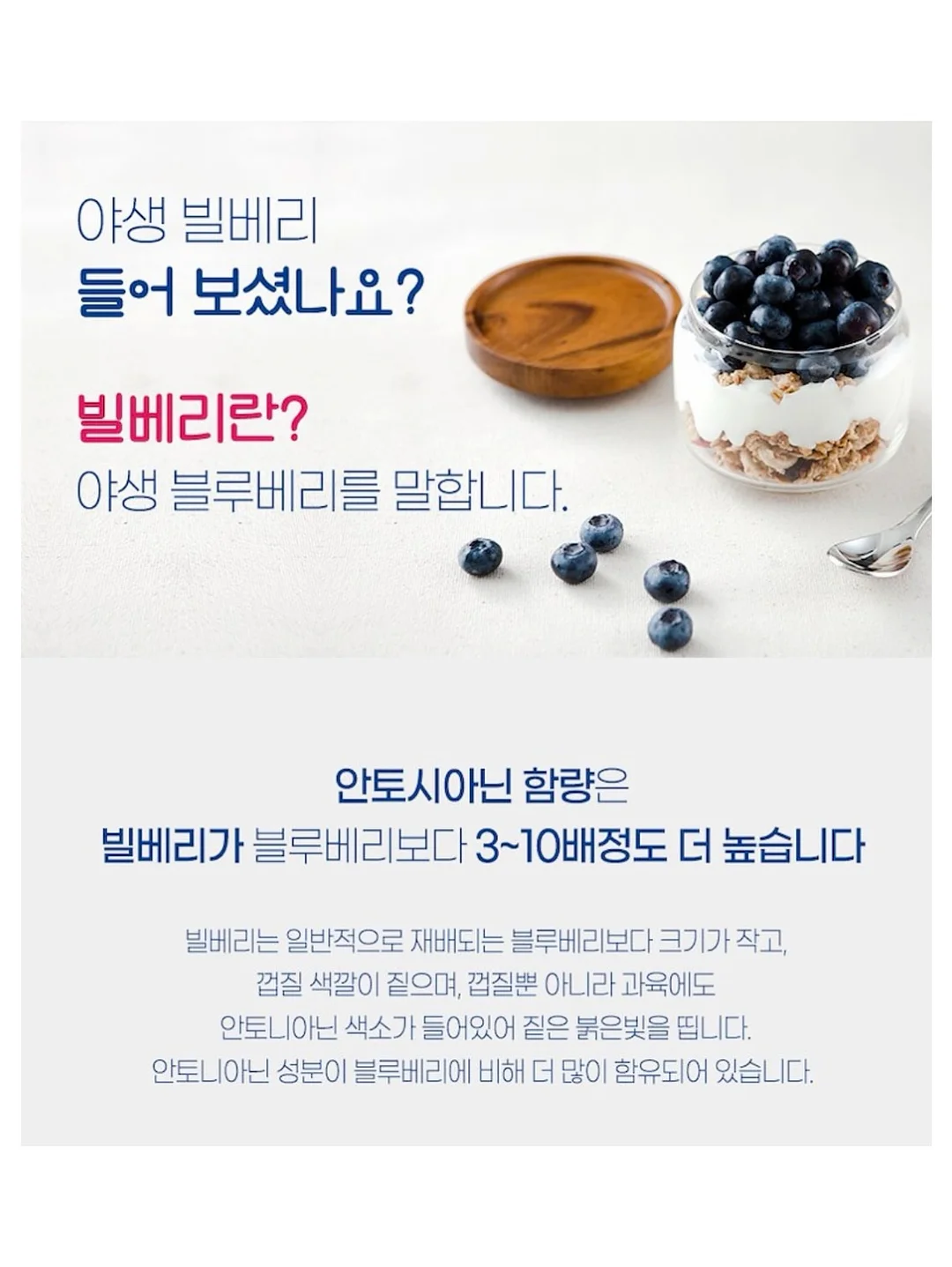 김치 19
