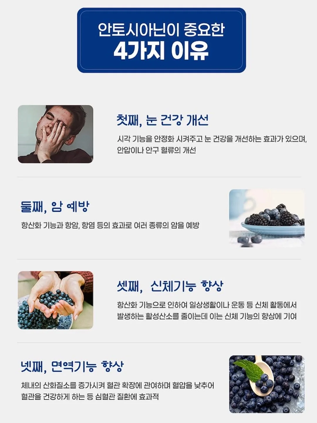 김치 20
