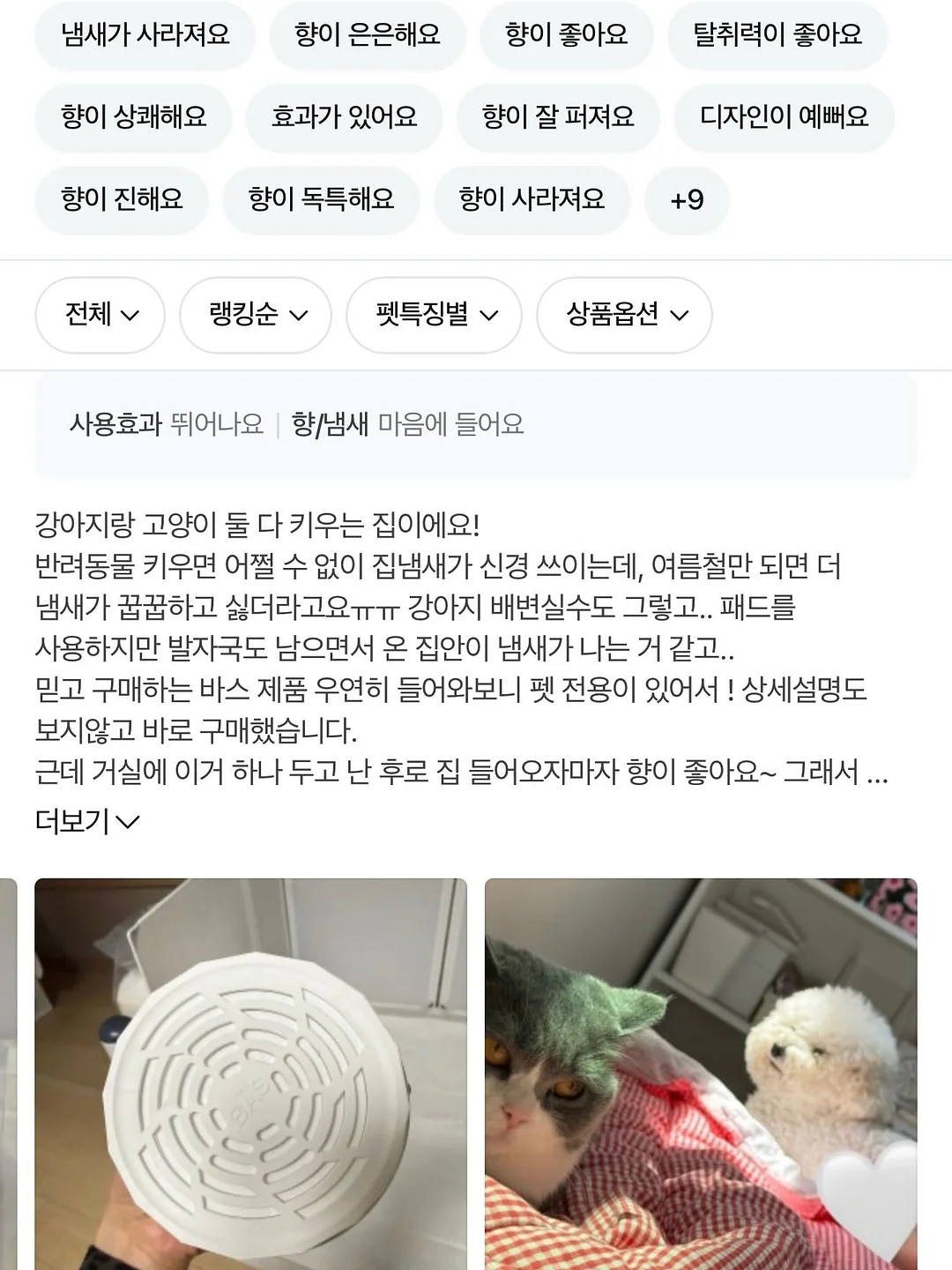 카네이션 앙금쿠키 13