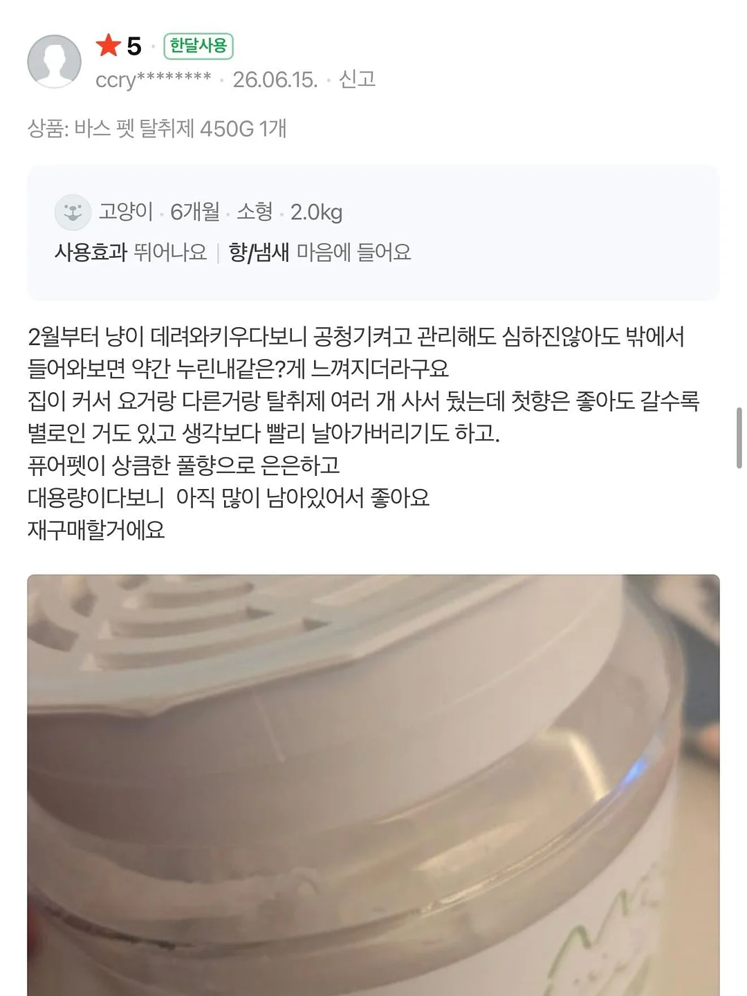 카네이션 앙금쿠키 14