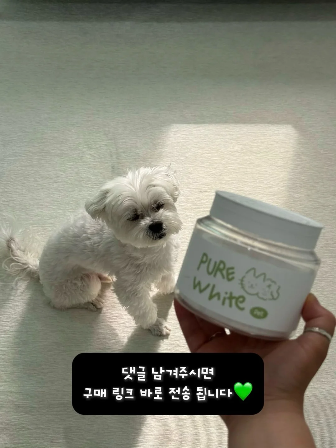 카네이션 앙금쿠키 20