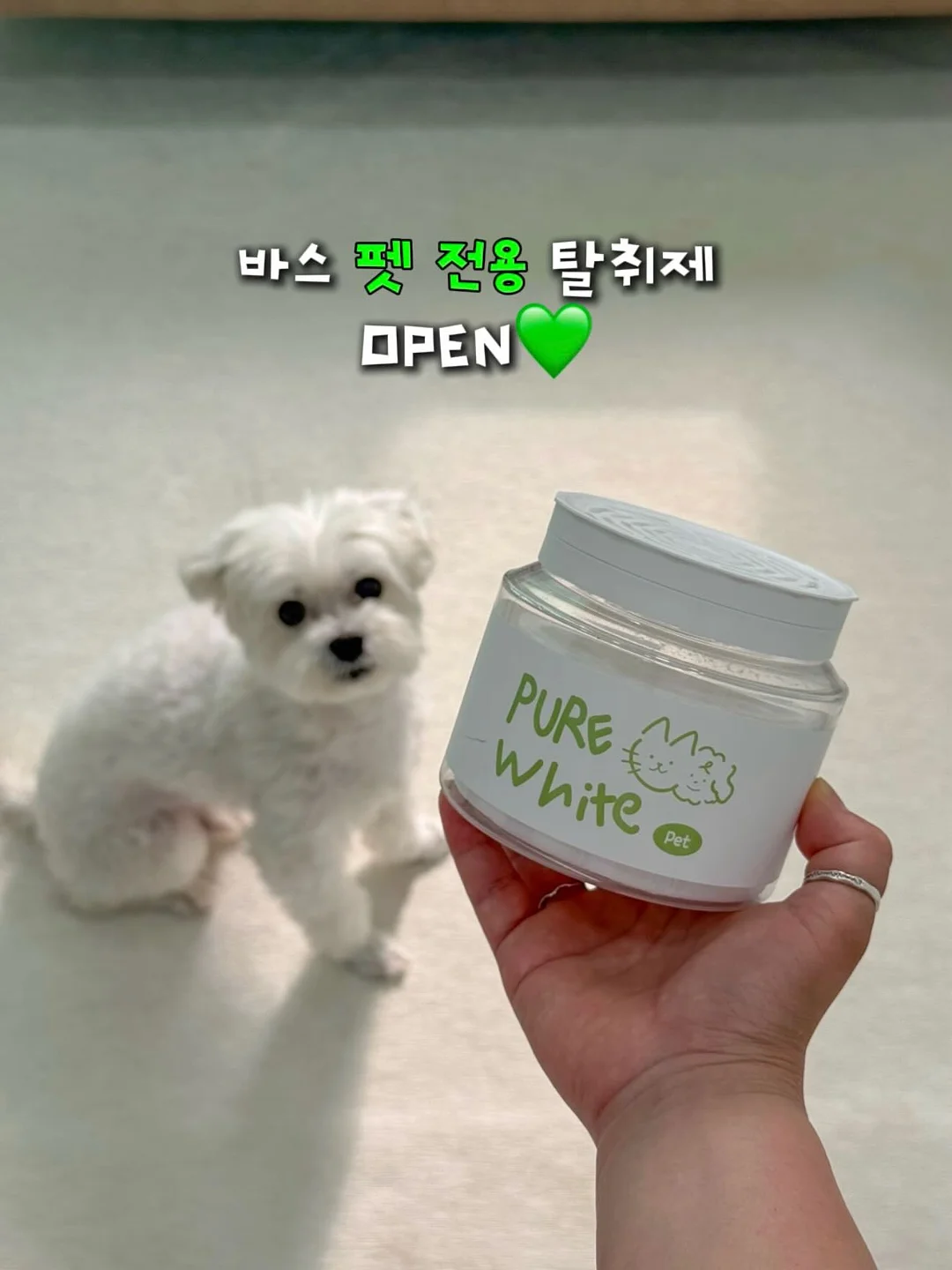 카네이션 앙금쿠키 2