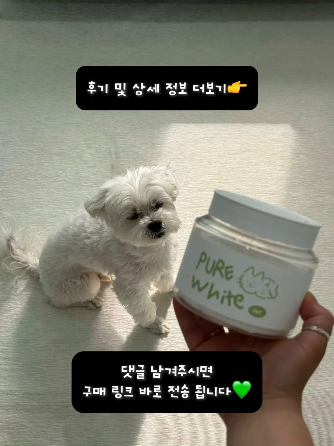 카네이션 앙금쿠키 7