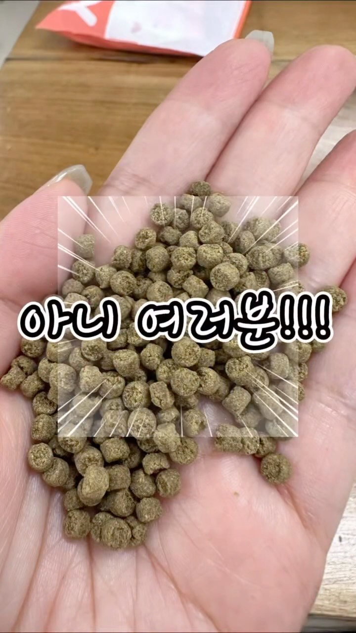 플라워하트 여름 티셔츠