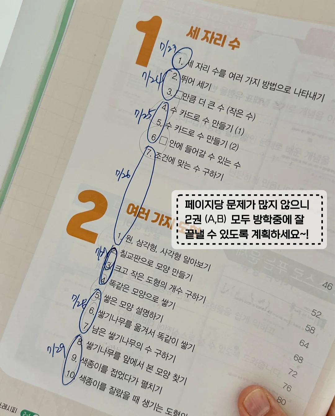 벚꽃계란말이 6