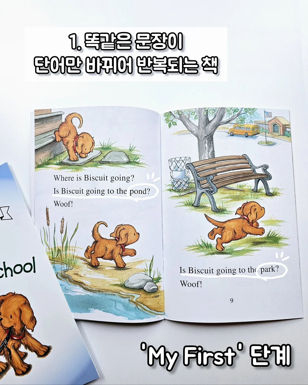 닥터파이토 오메가3 3