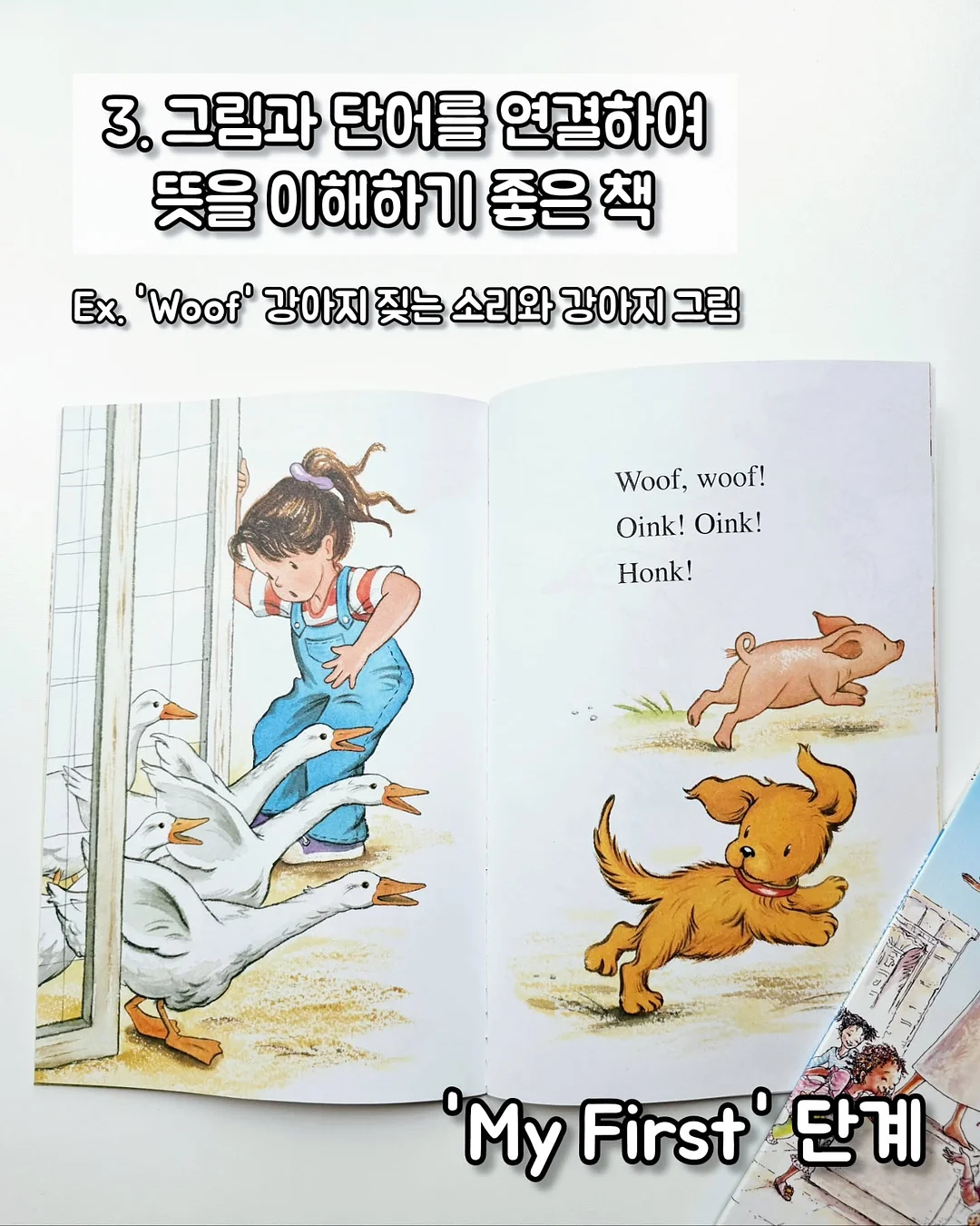 닥터파이토 오메가3 5