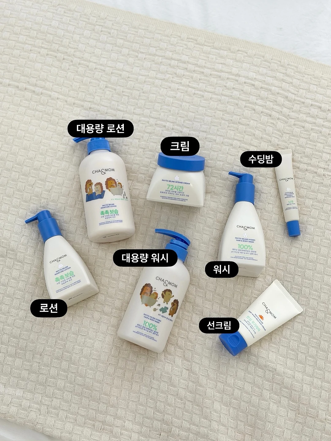 3분철학 8