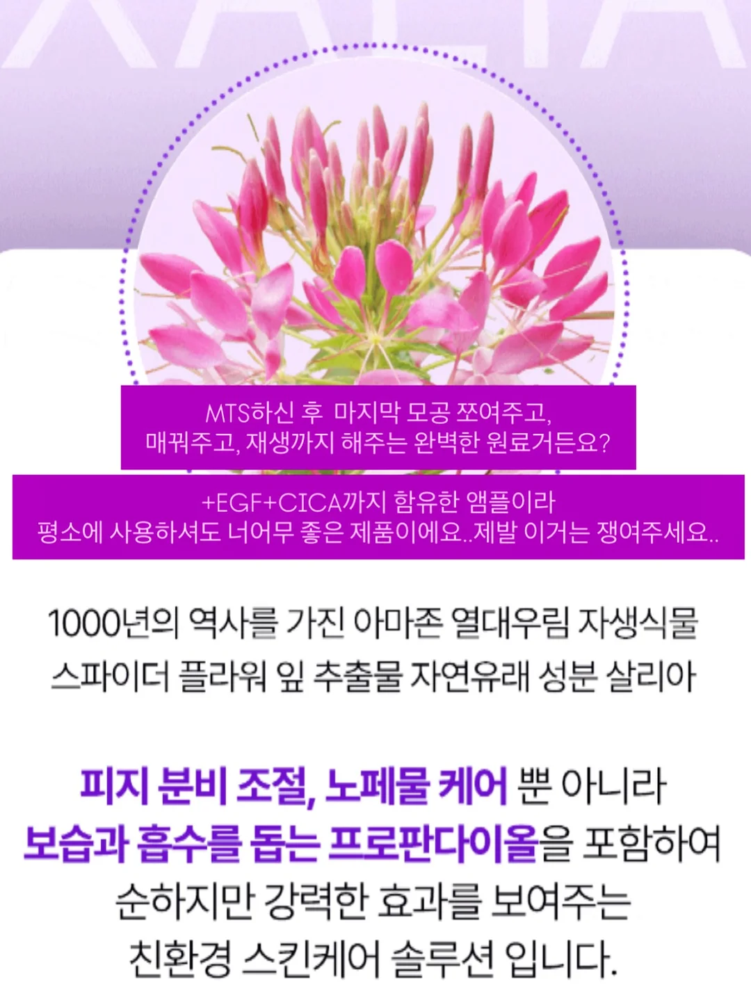 바르맘 F자 바디필로우 12