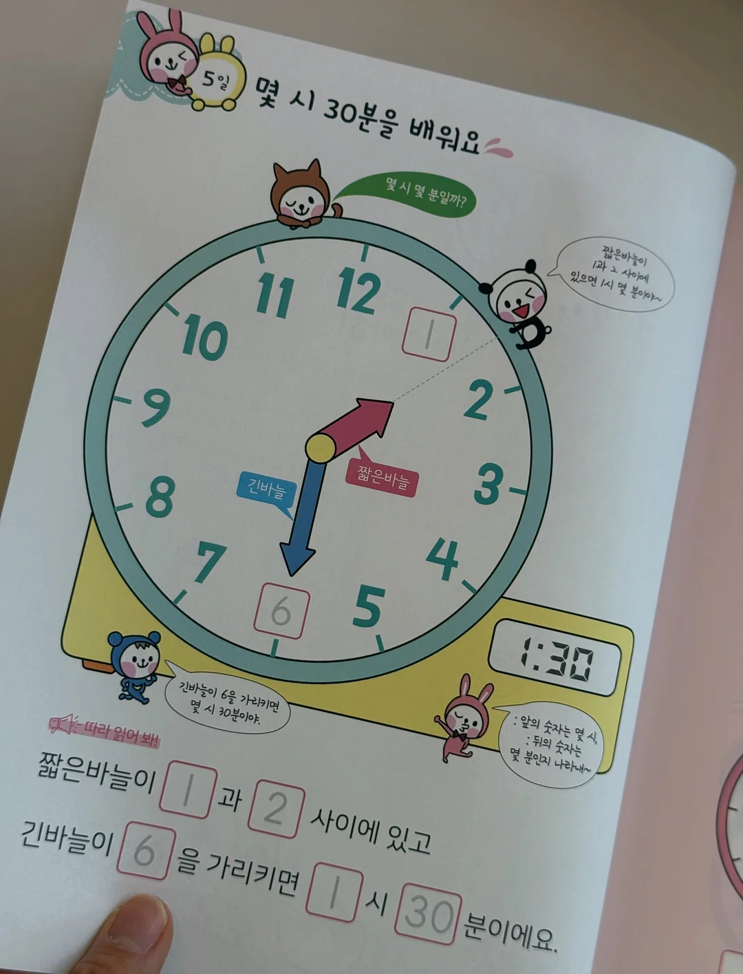 베베누보 레인용품 13