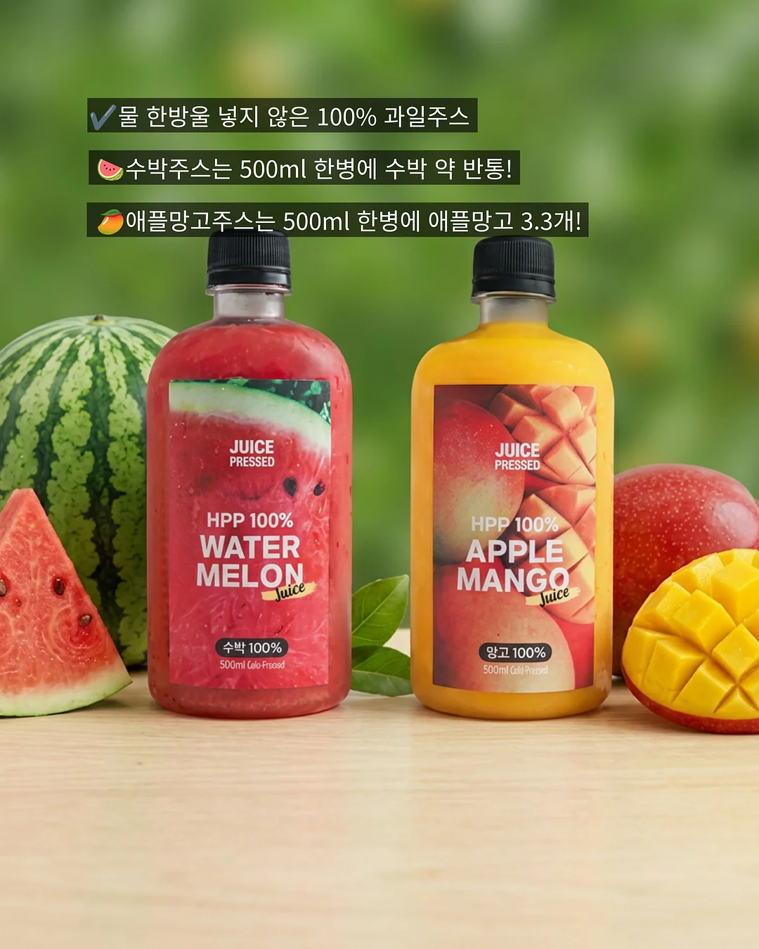 먼지 정리 케이스 4