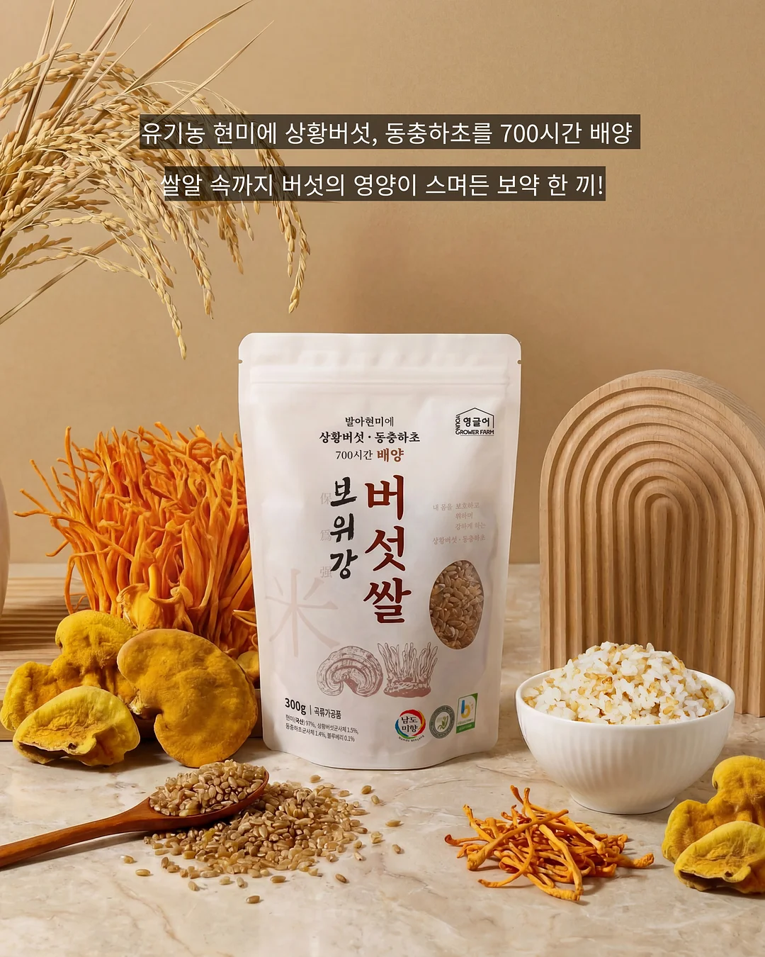 먼지 정리 케이스 5