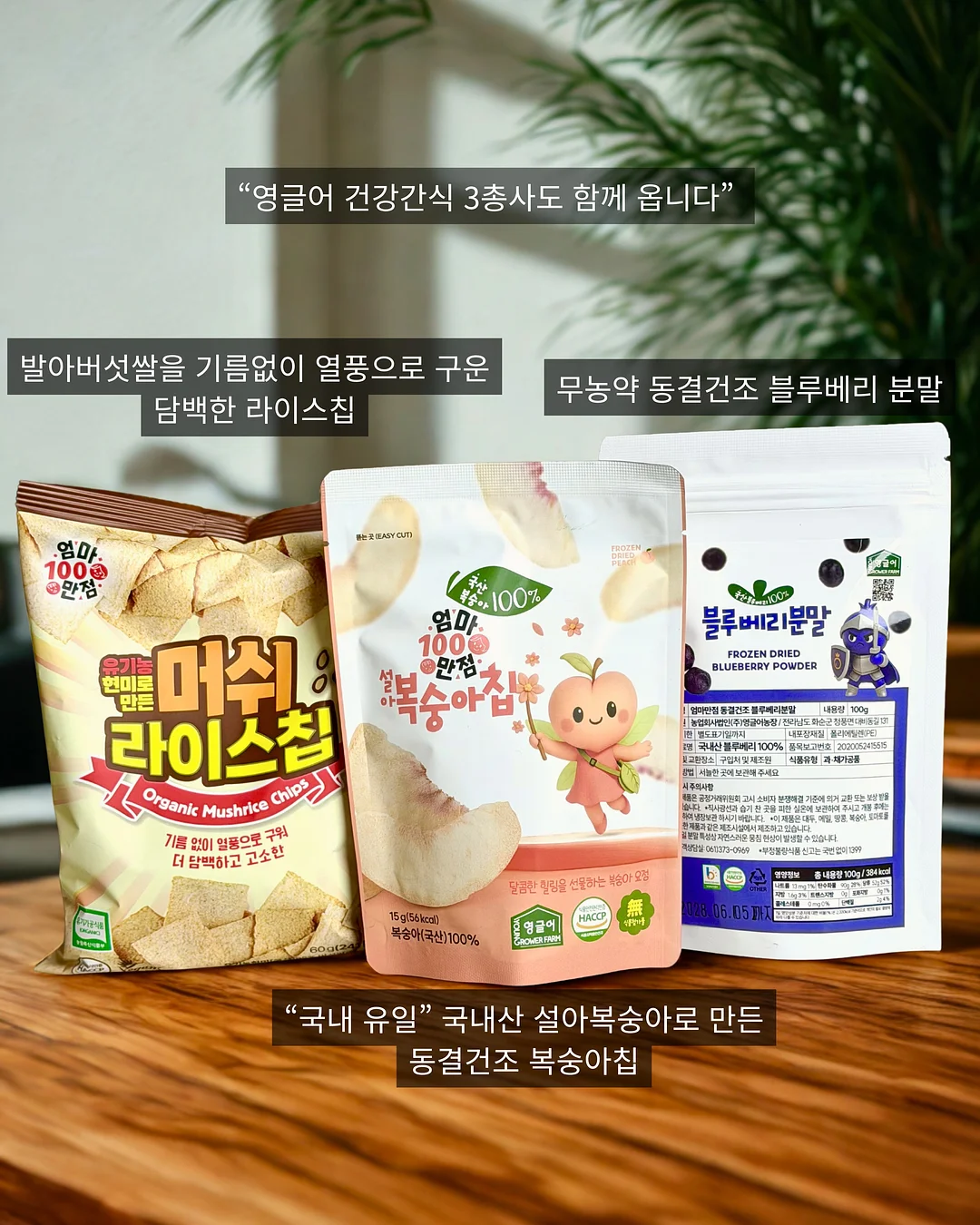 먼지 정리 케이스 6