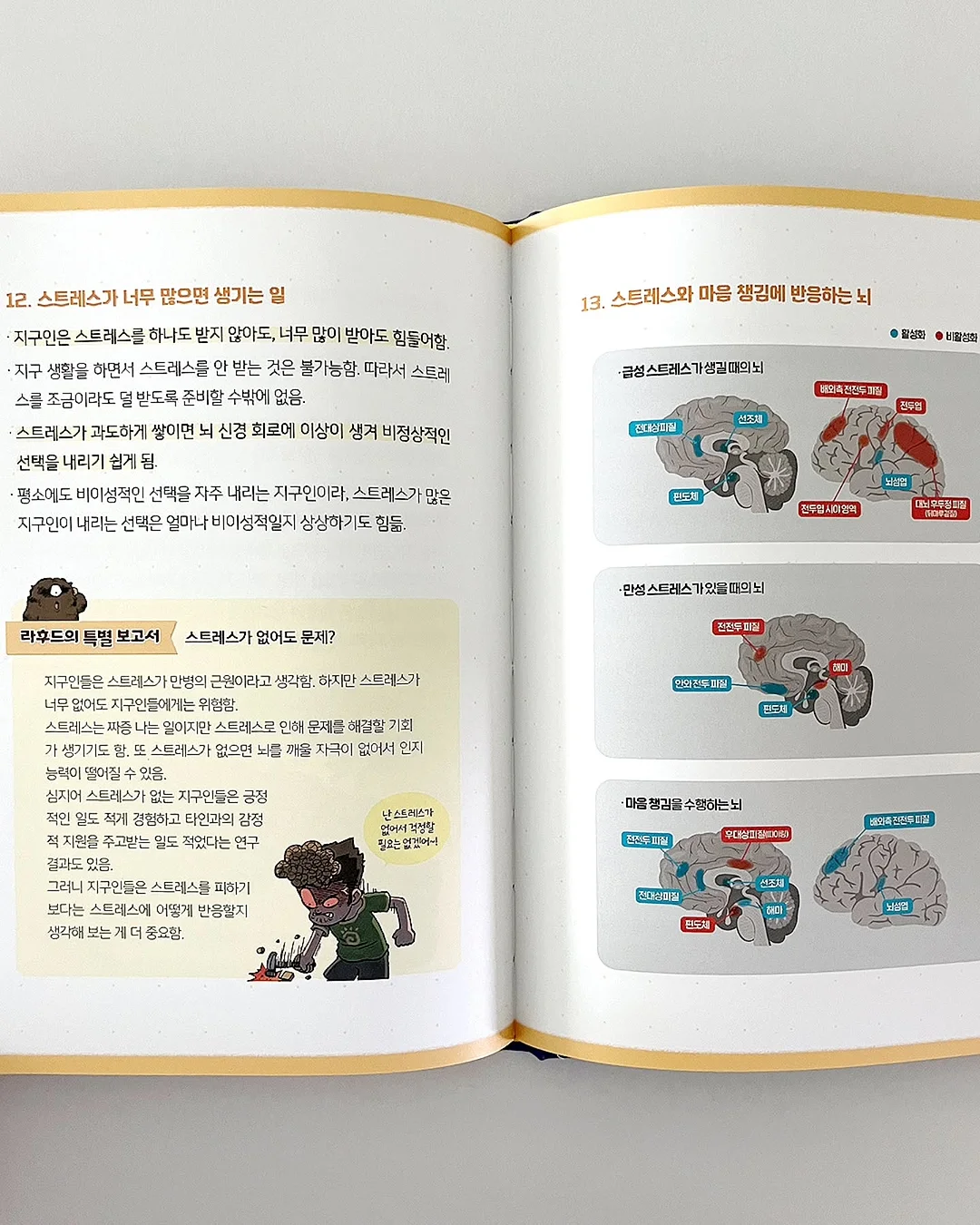 파라솔 그늘막 10
