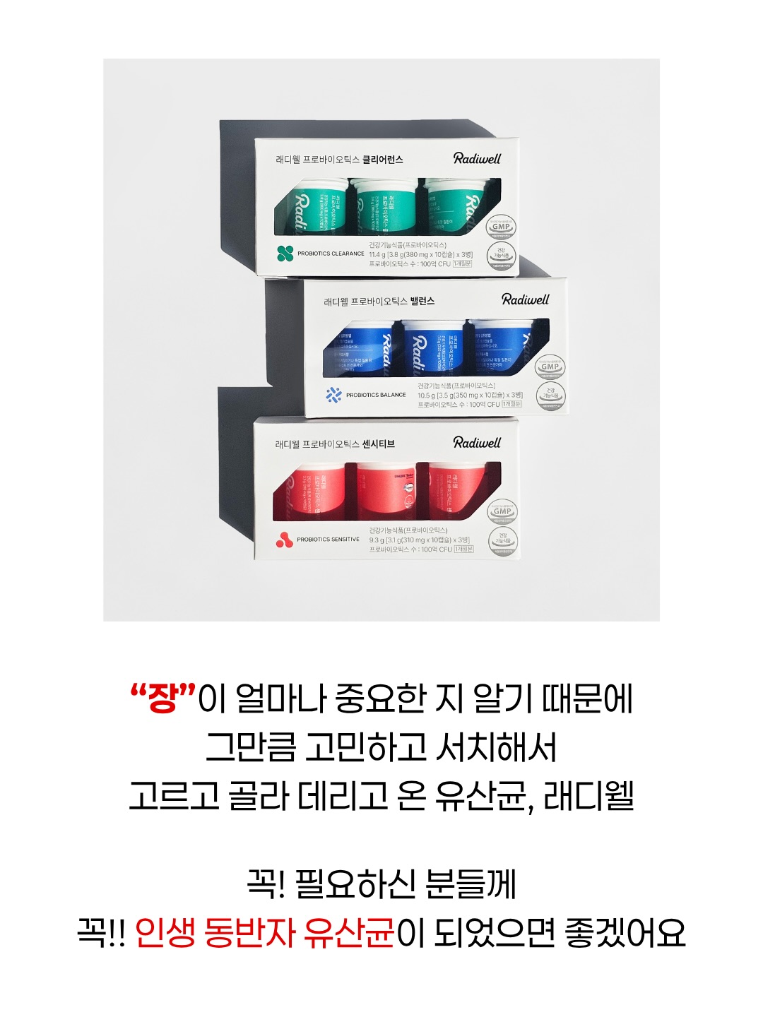 스텐 밀폐 도시락 11