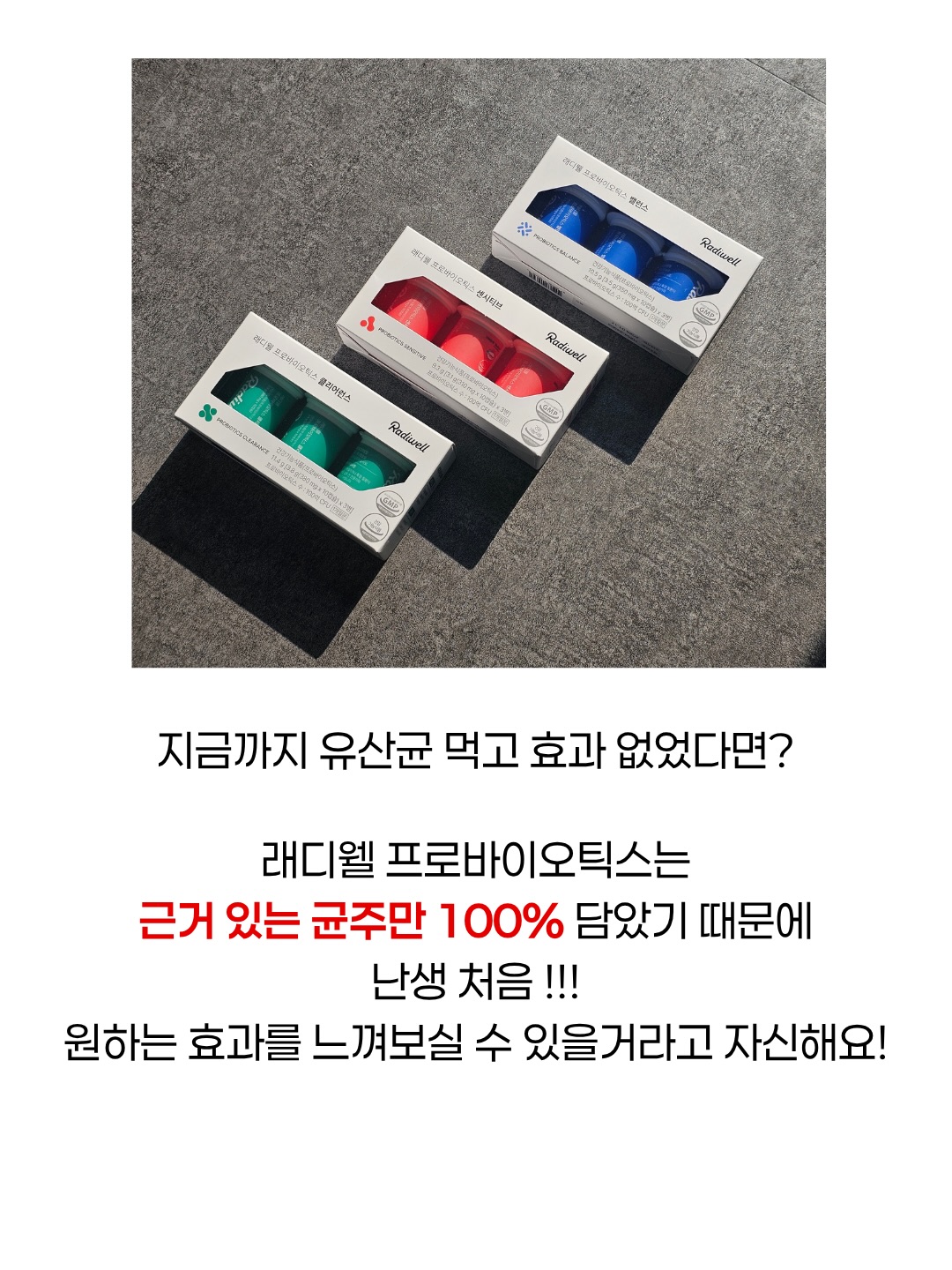 스텐 밀폐 도시락 10