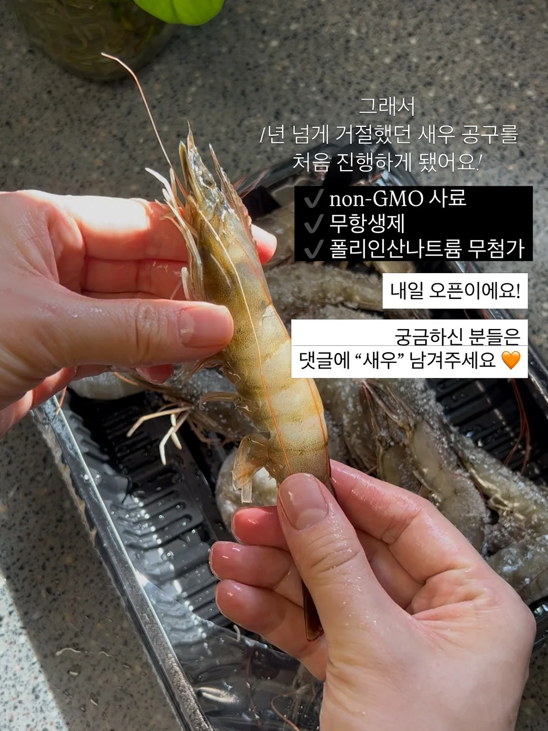 기능성 선글라스 물안경 15