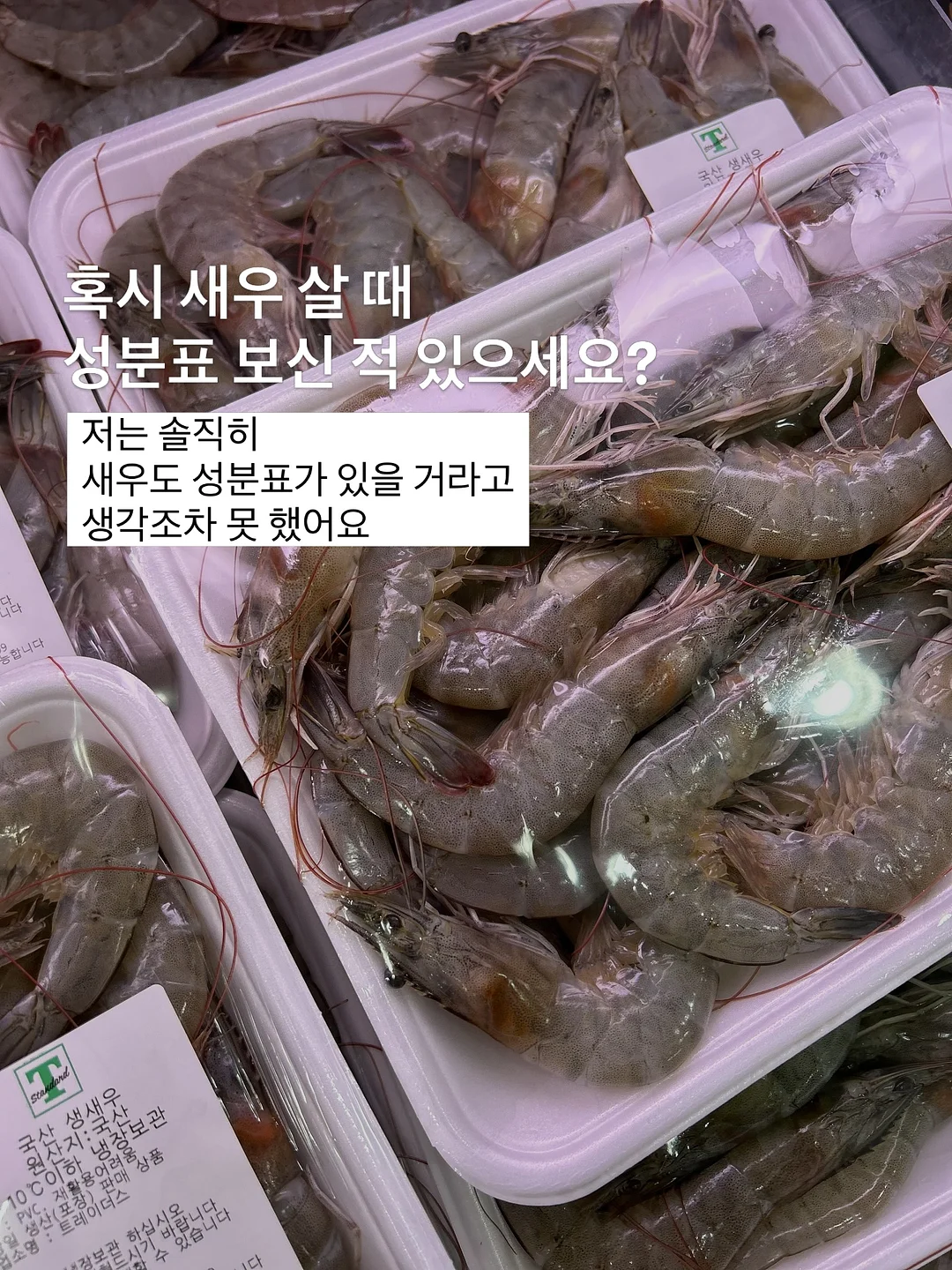 기능성 선글라스 물안경 4