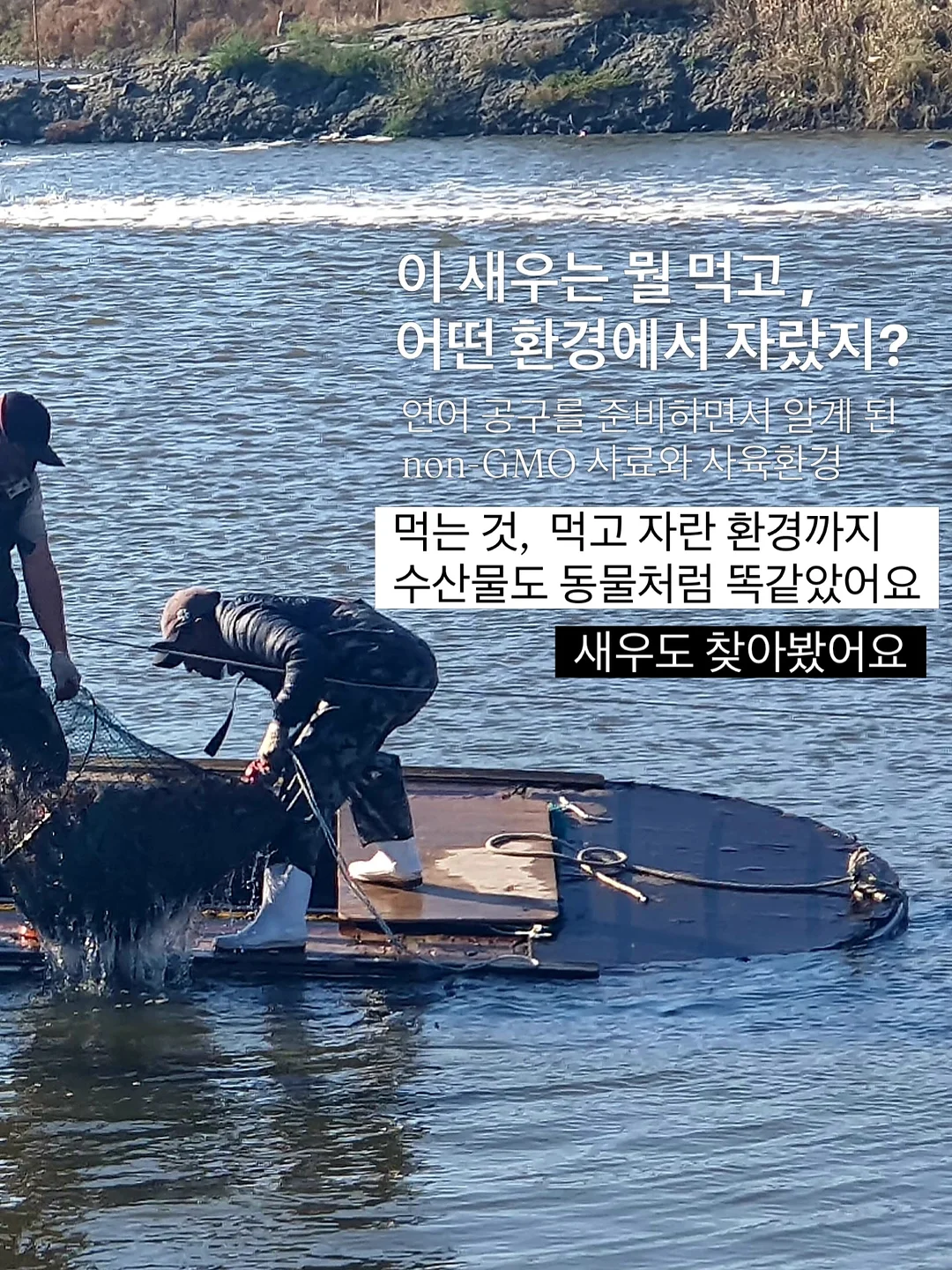 기능성 선글라스 물안경 8