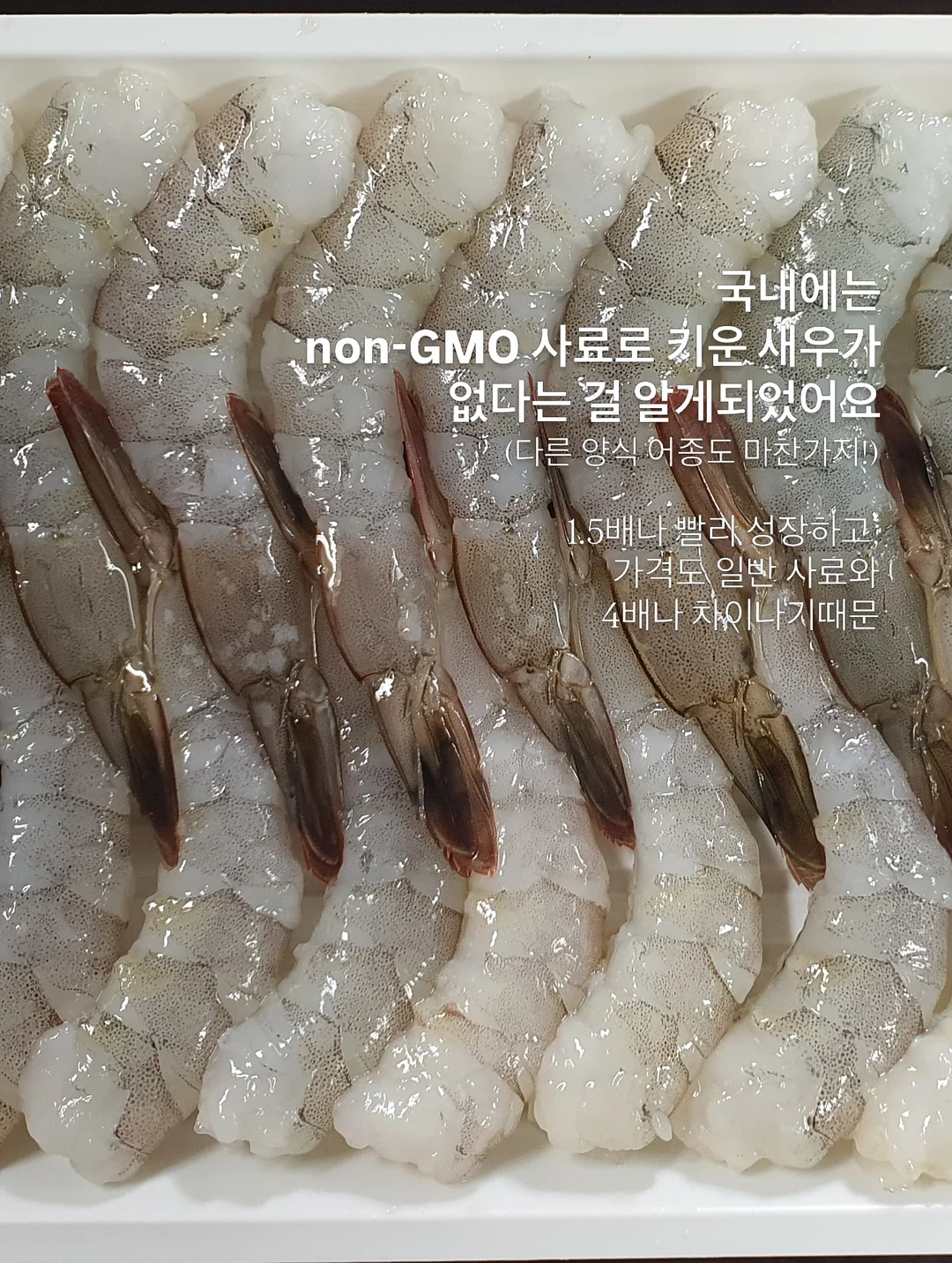 기능성 선글라스 물안경 9