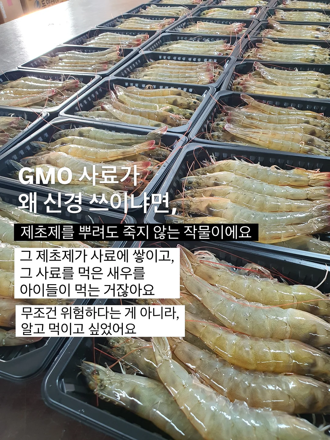 기능성 선글라스 물안경 10
