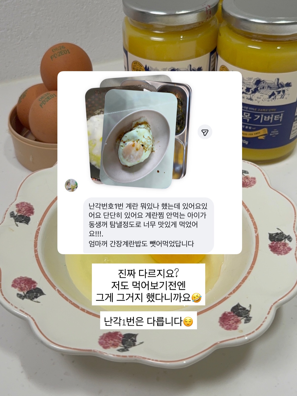 모트모트 독서템 5
