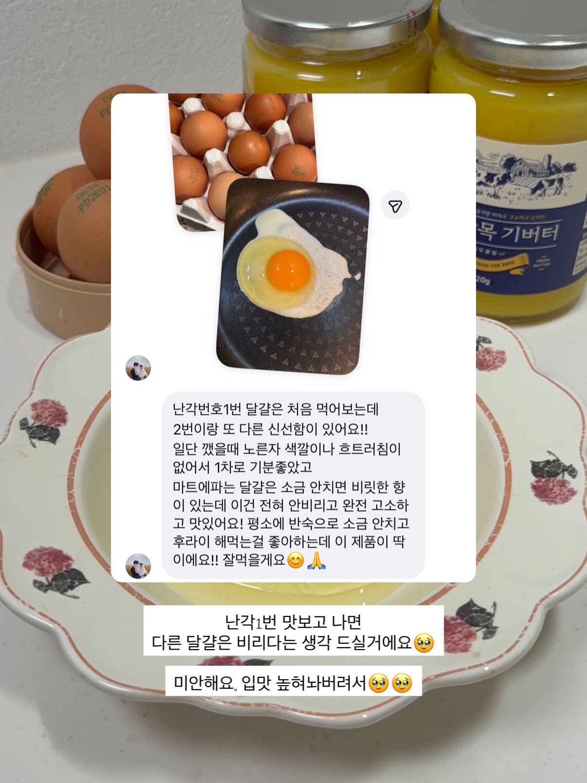 모트모트 독서템 8