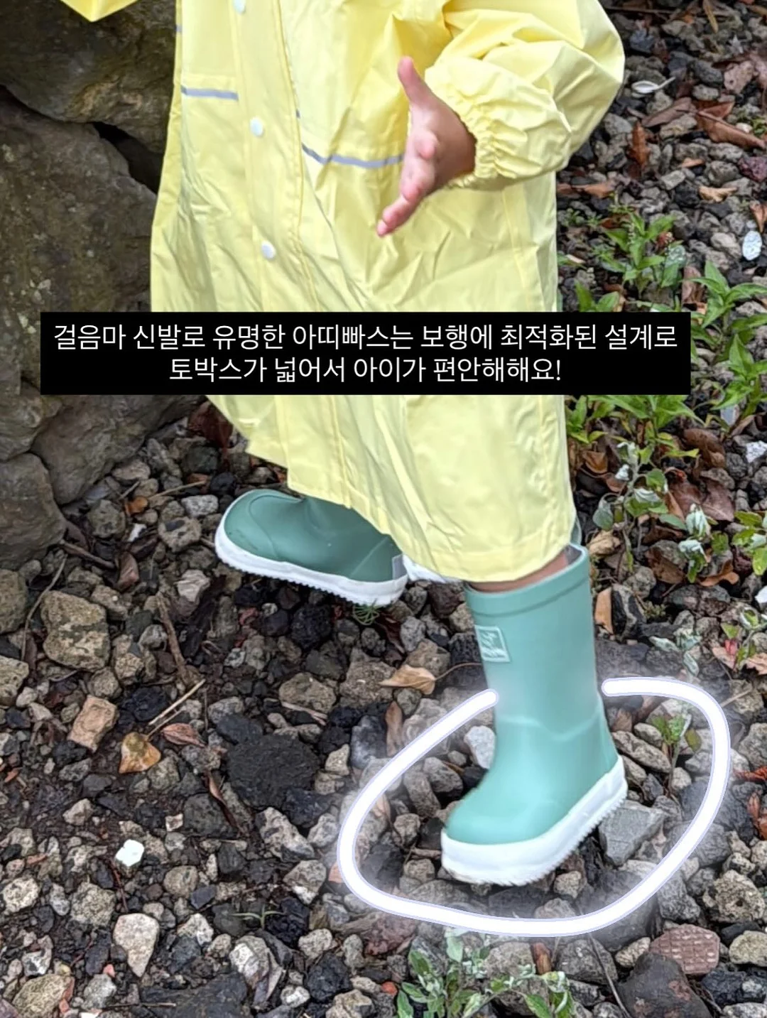 로에드 나시 15