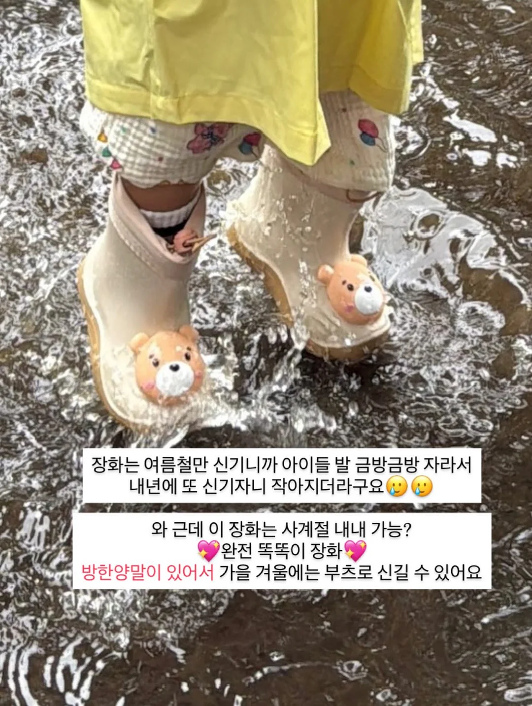 로에드 나시 17