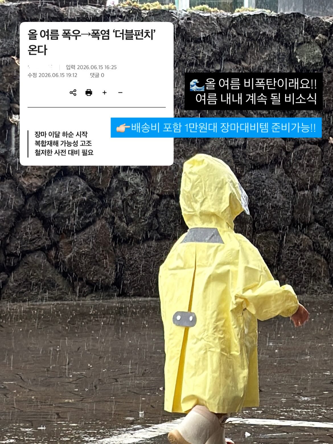 로에드 나시 3