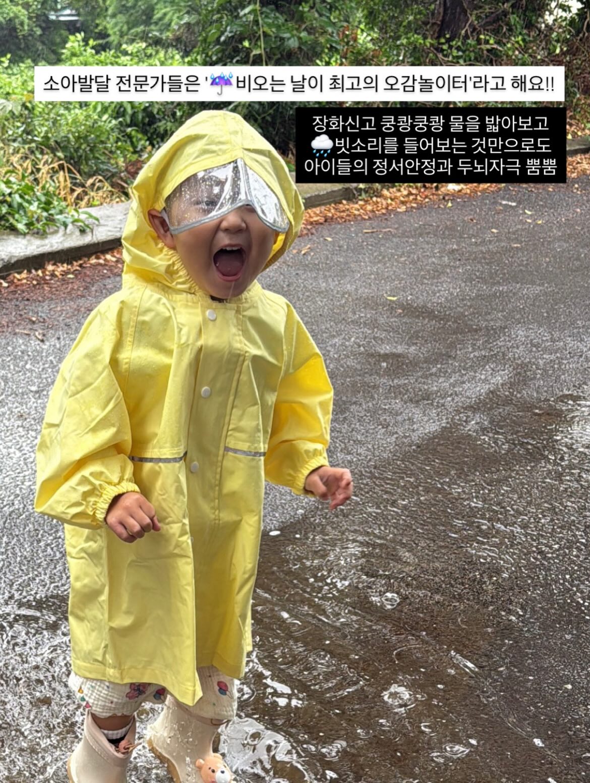 로에드 나시 4