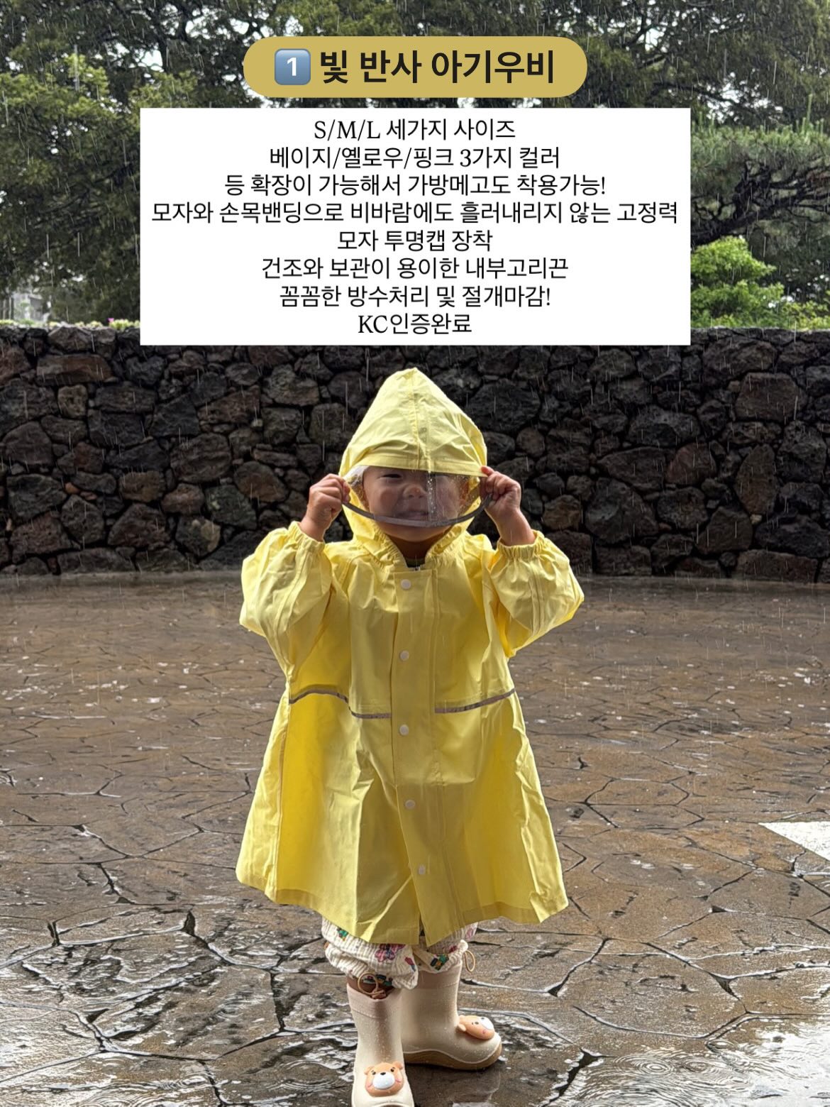 로에드 나시 6