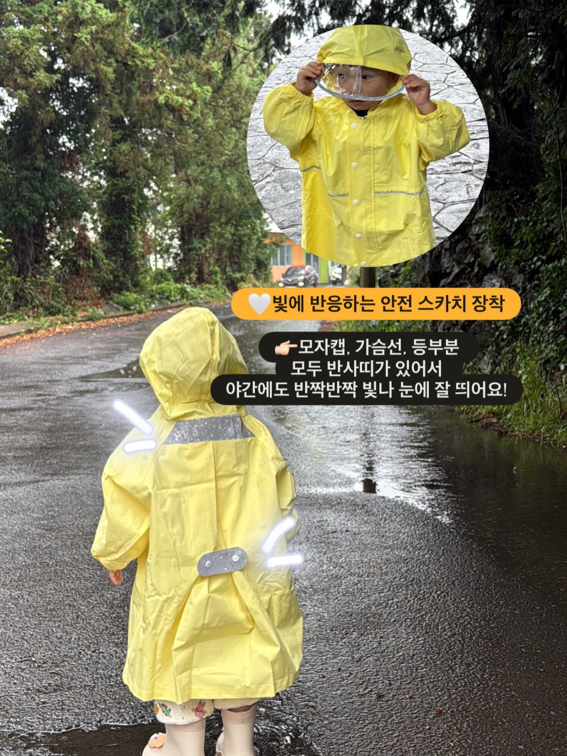로에드 나시 7