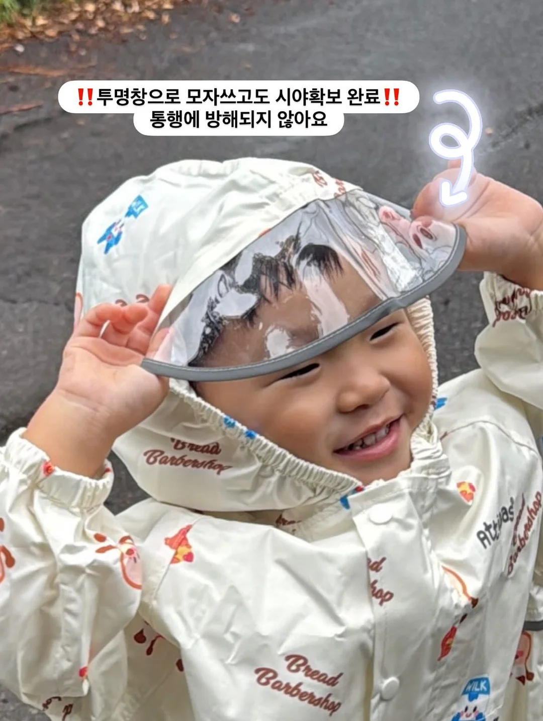 로에드 나시 8
