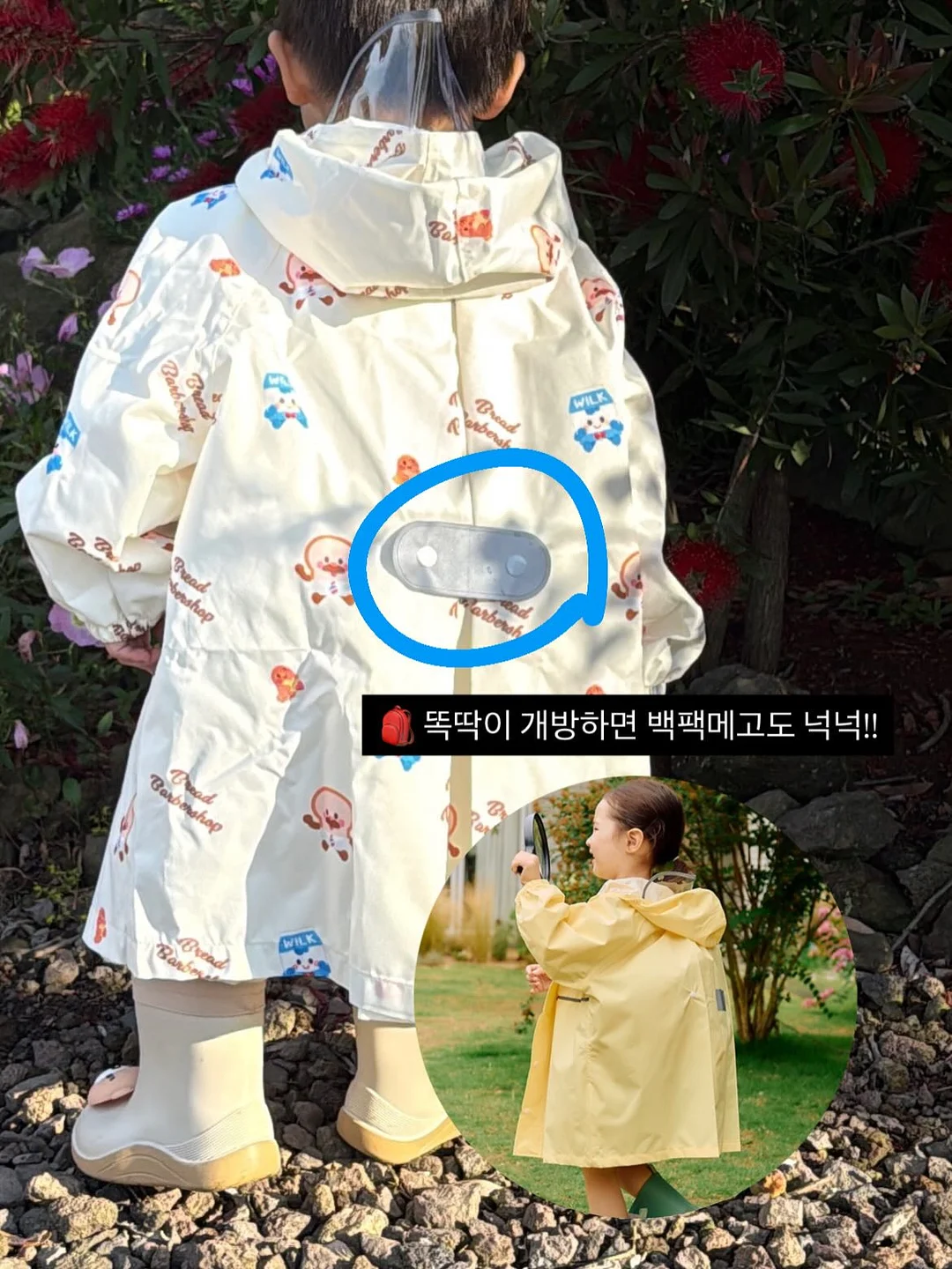 로에드 나시 10