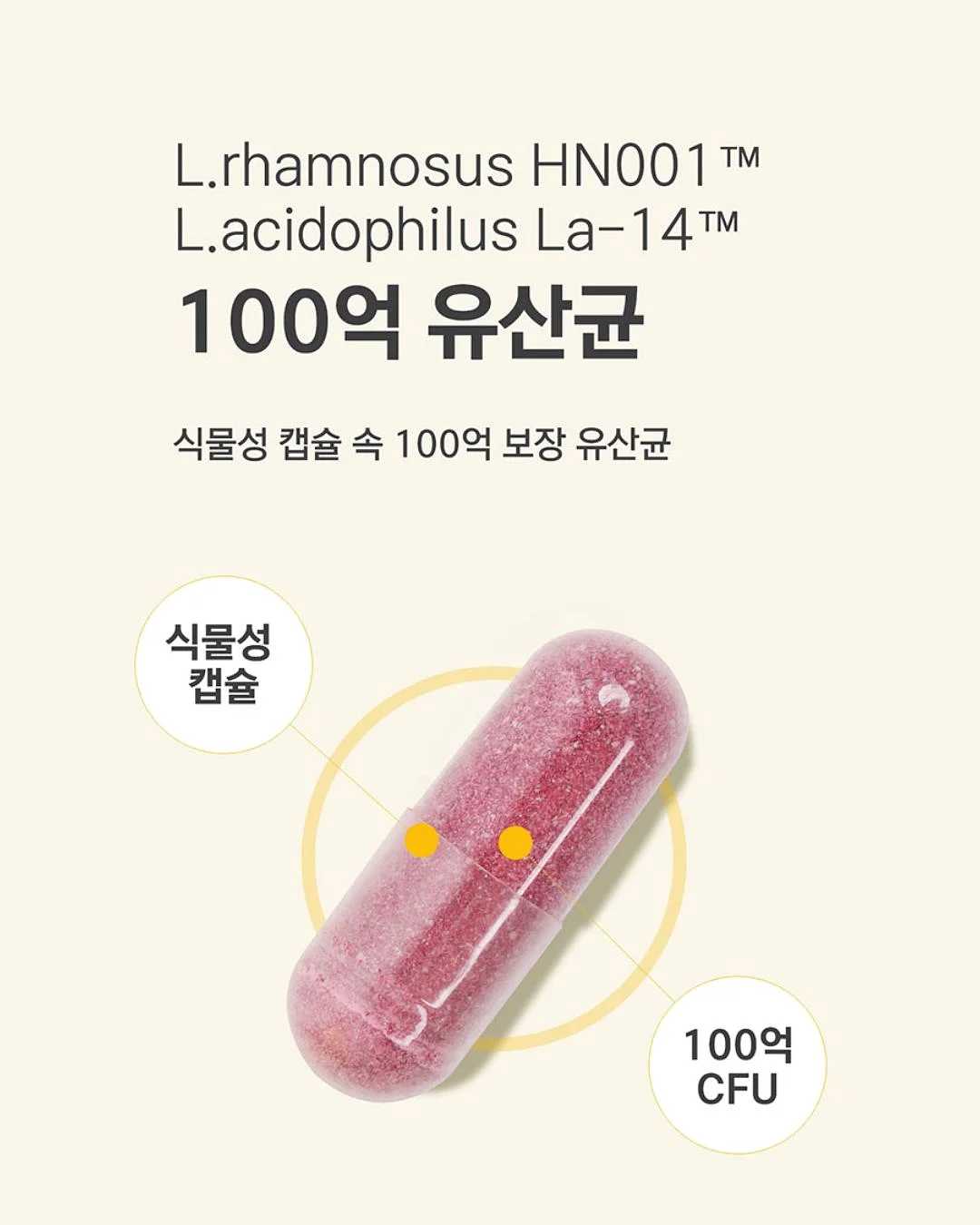 씨씨글로우 스킨 컬러 테라피 테크닉 교육 2