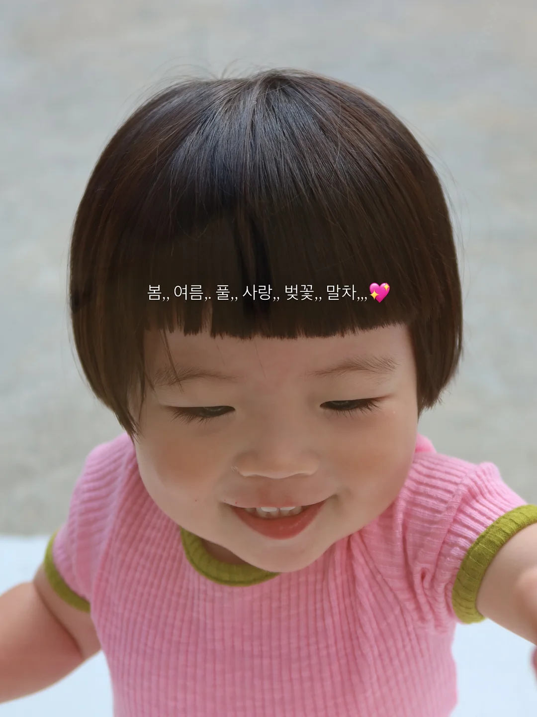 베르만 프로 캐리어 8