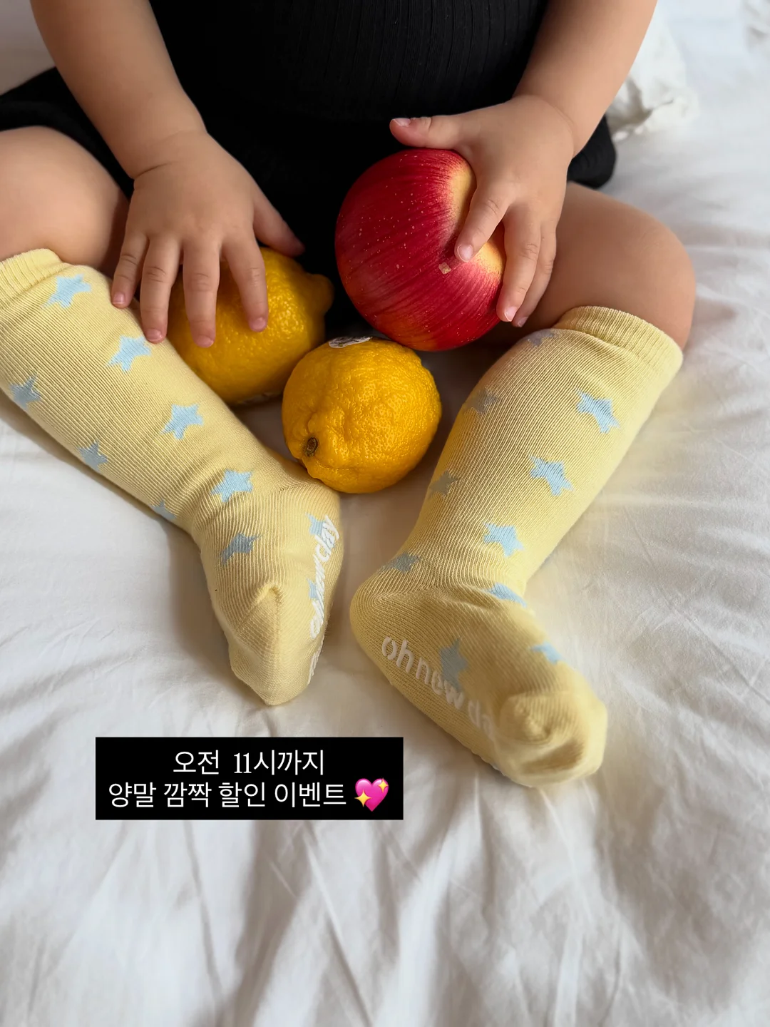 베르만 프로 캐리어 9
